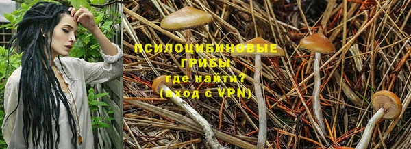 альфа пвп VHQ Каменногорск