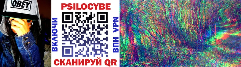 Псилоцибиновые грибы Psilocybe  Купить закладки  Злынка 