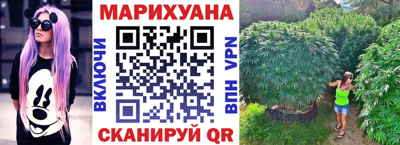 Купить  Злынка  Канабис сатива 